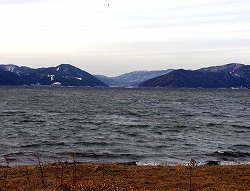 20060120kohoku (12).jpg